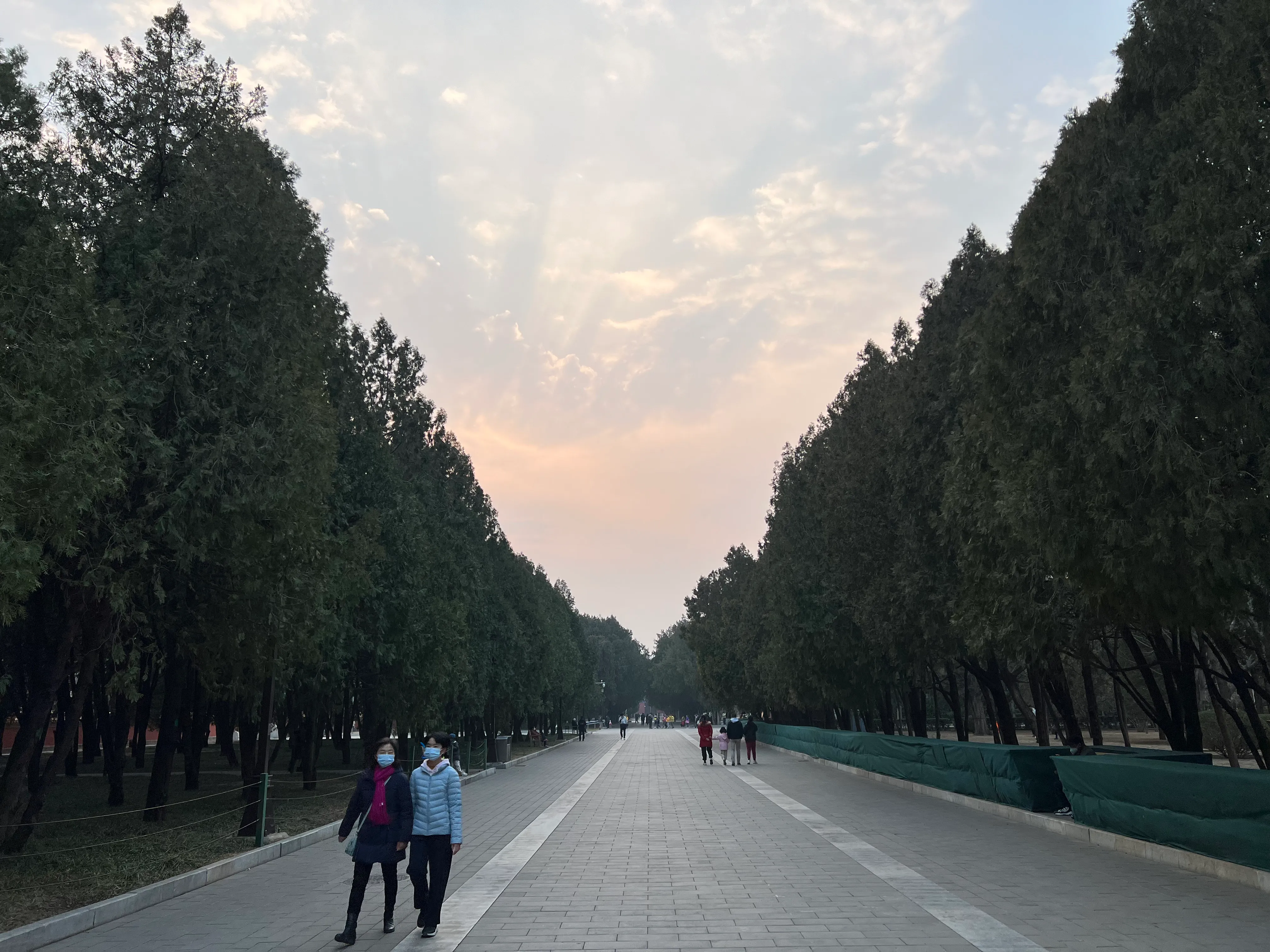 IMG_1698.jpeg